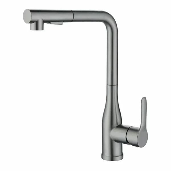 kitchen faucet with pull out sprayer