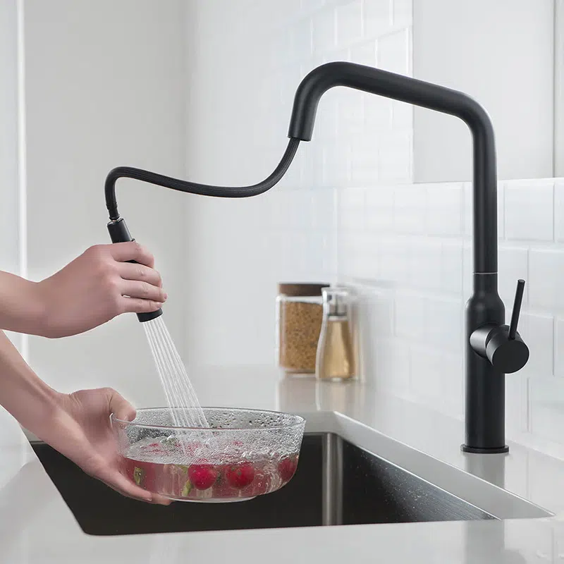 Kitchen Faucets