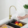 Water Filter Faucet Golden_2